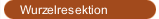 Wurzelresektion